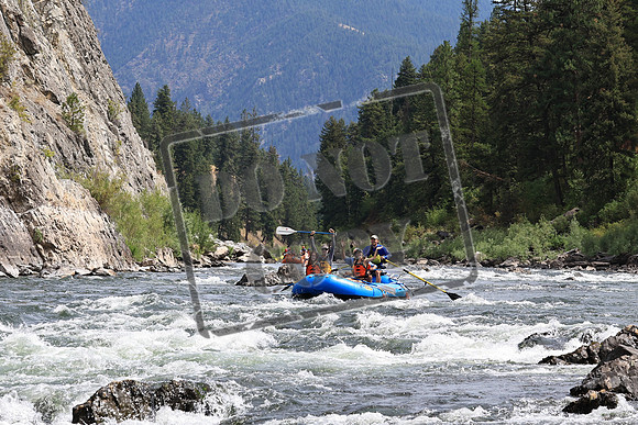 20220812-IMG_7584