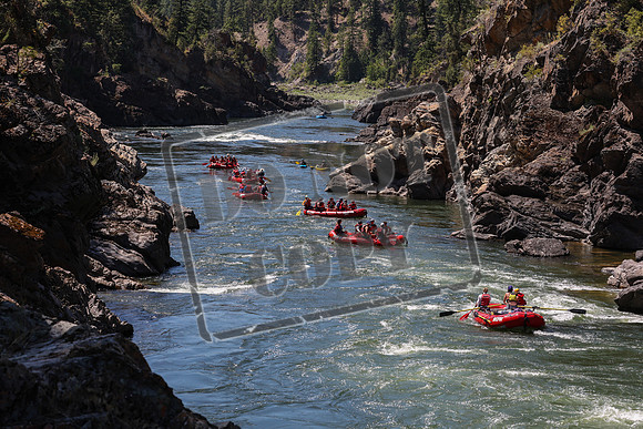 20240713-IMG_8272