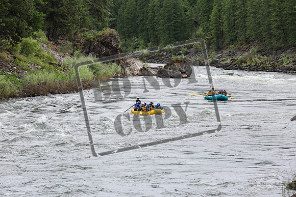 20240618-IMG_1416