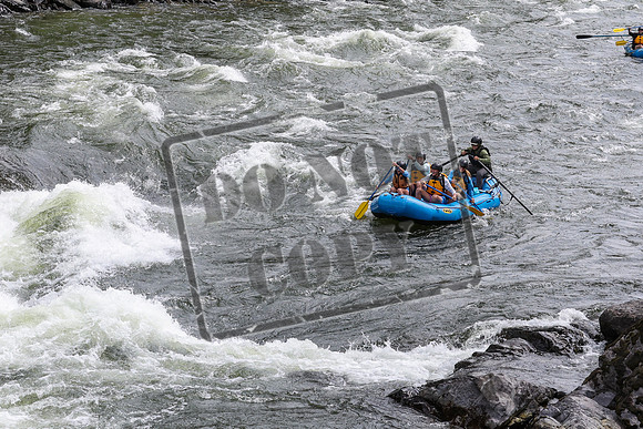 20240701-IMG_0617