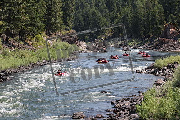 20240711-IMG_1933