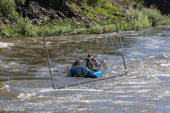 20240609-IMG_7367