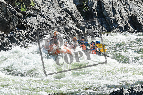 20250810-IMG_0017