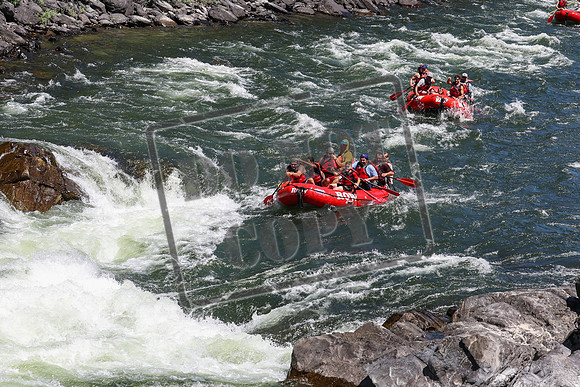 20240713-IMG_8215