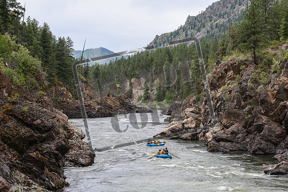 20240626-IMG_1550-3
