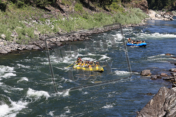 20220730-IMG_7144