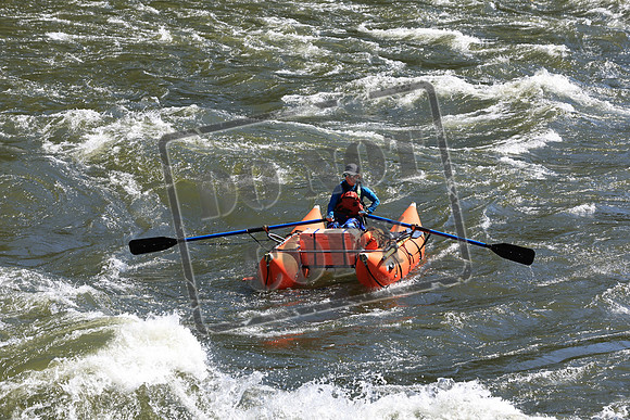 20220709-IMG_8692