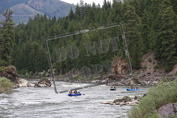 20220709-IMG_9522