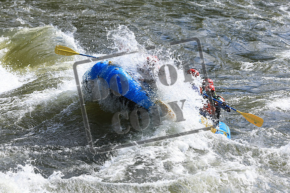 20220706-IMG_4130