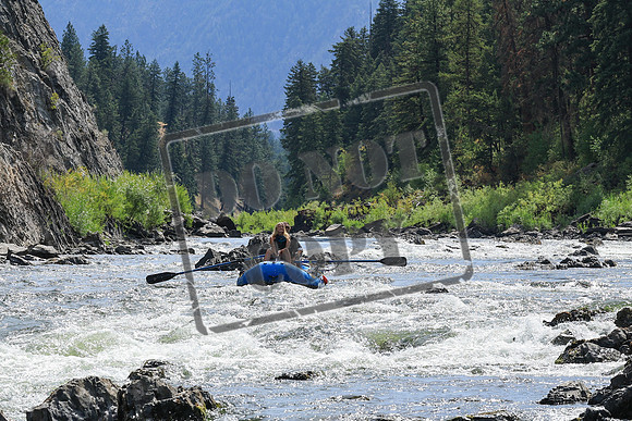 20250731-IMG_7818