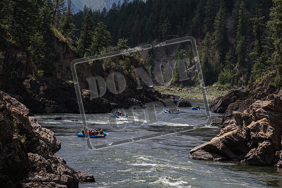 20240705-IMG_9343