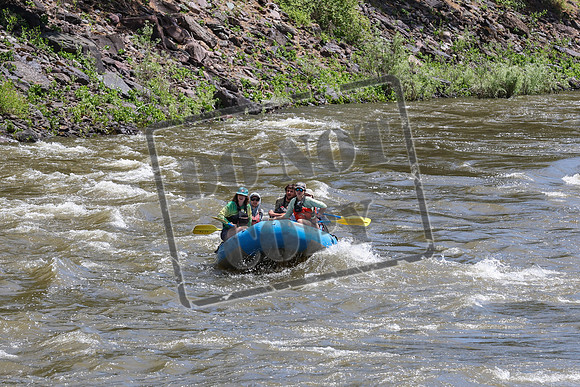 20240609-IMG_7524