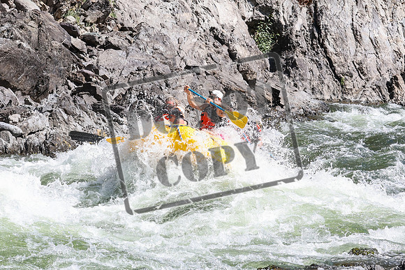 20240826-IMG_9197
