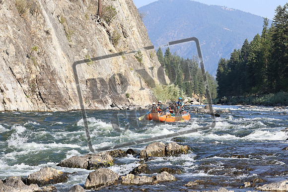 20220904-IMG_0459