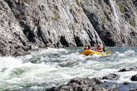 20240719-IMG_2626