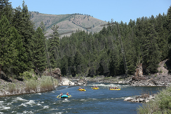 IMG_9098.jpg