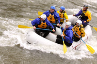 Paws Up Raft 2