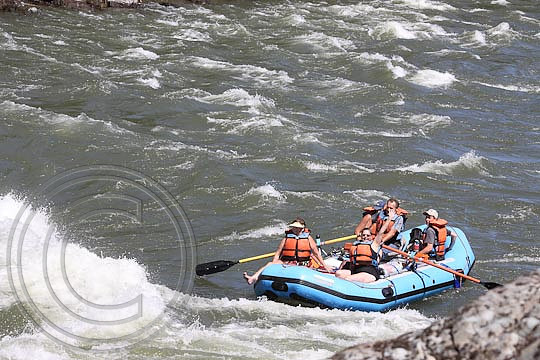 IMG_2560