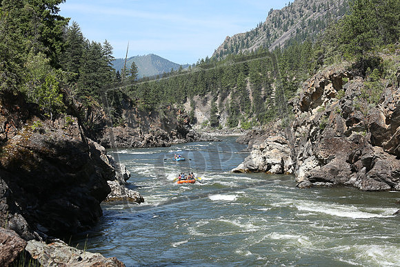 IMG_4370.jpg