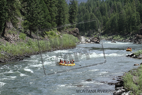 20150623-IMG_0015