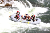 Grey Raft, Black Stripe