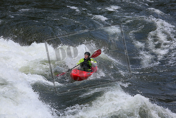 IMG_7534.jpg