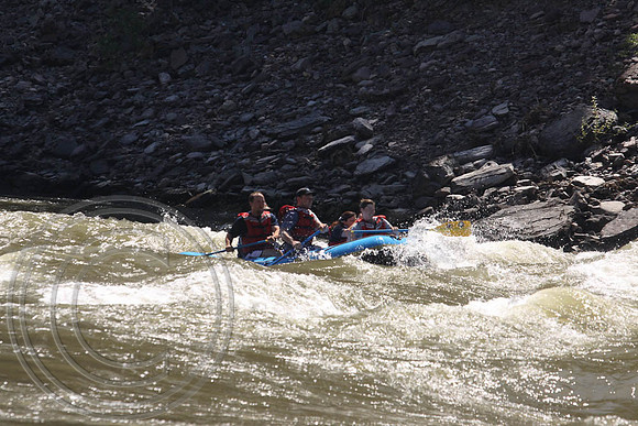 IMG_5241