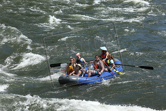 IMG_6806.jpg