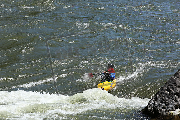 IMG_4064.jpg