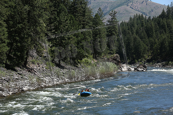 IMG_8466.jpg