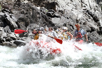 Raft 6