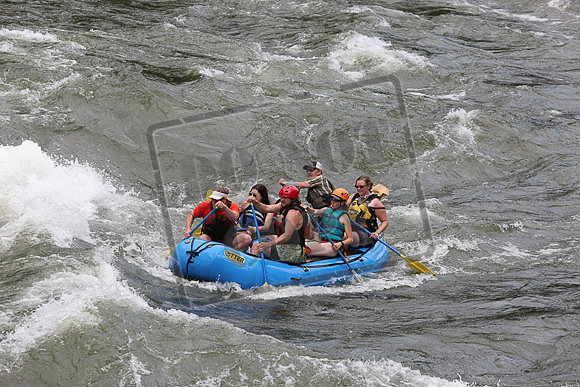 IMG_7150.jpg