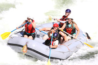 Grey Raft, Black Stripe