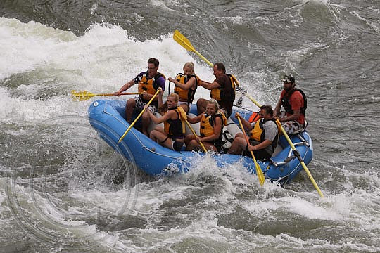 IMG_3379
