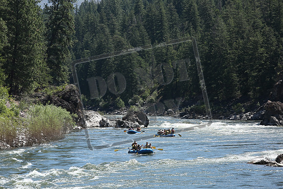 IMG_4451.jpg