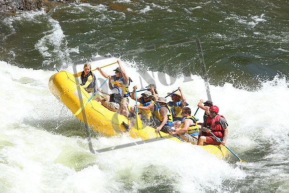 IMG_8368.jpg