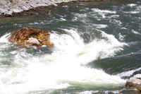 20110903-20110903-IMG_1321