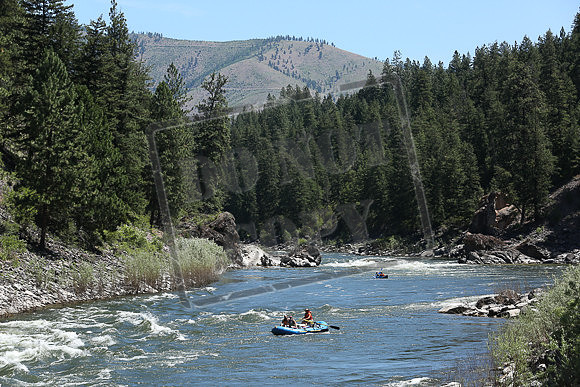 IMG_8399.jpg