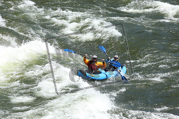 IMG_8420.jpg