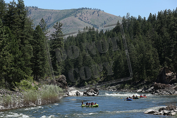 IMG_8504.jpg