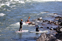 Stand Up Paddle Boarders