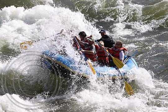 IMG_6260