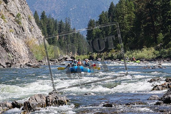 20240817-IMG_8833
