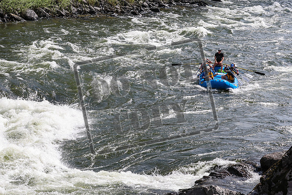20240701-IMG_0496