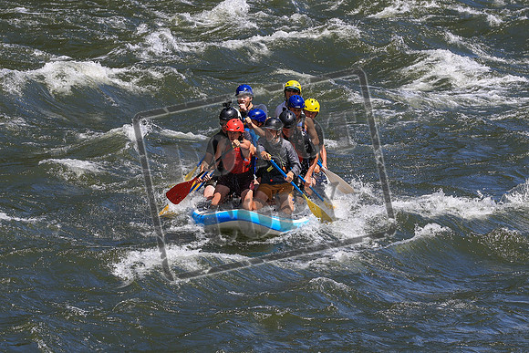 20250614-IMG_9331