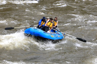 20260508-IMG_7118