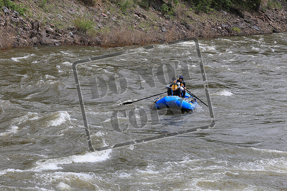 20260508-IMG_7167