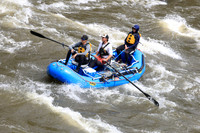 20260508-IMG_7177