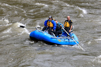 20260508-IMG_7142