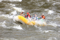 20260508-IMG_7249